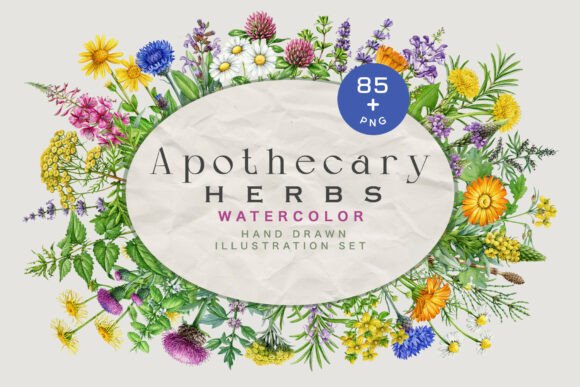 Hand-Painted Apothecary Herbs Illustration Set